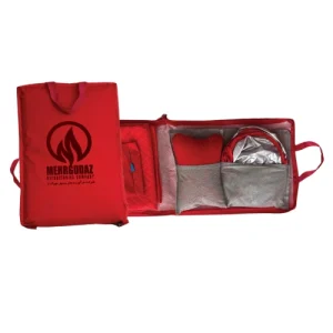 ست تبلیغاتی خودرویی ۴ تکه شامل آفتابگیر عینکی، کیسه زباله خودرو، زیرانداز تبلیغاتی و بالشتک پشت گردنی با چاپ لوگو – دیجی کاردو